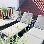 Cejkovsky Dvorek Vakantiehuis Cejkovice (Hodonin)