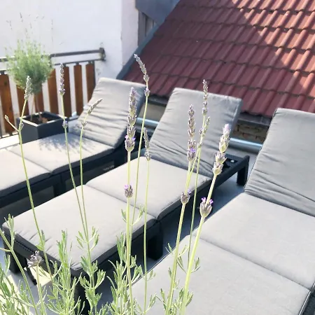 Cejkovsky Dvorek Tatil Evi Cejkovice (Hodonin)