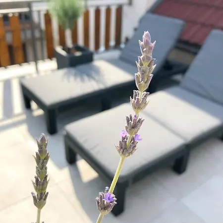 Cejkovsky Dvorek Tatil Evi *