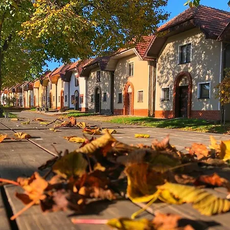 Cejkovsky Dvorek Tatil Evi *